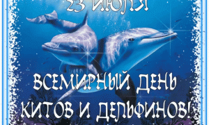 День защиты китов и дельфинов